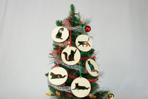 Ornament299