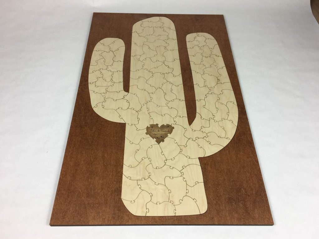 cactus desert puzzle