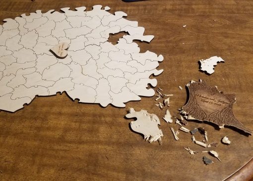 Dog Chewed Puzzle Pieces