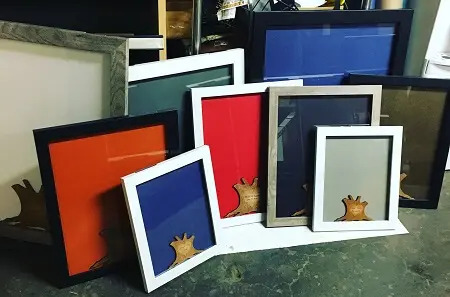 Drop Top Color Varieties